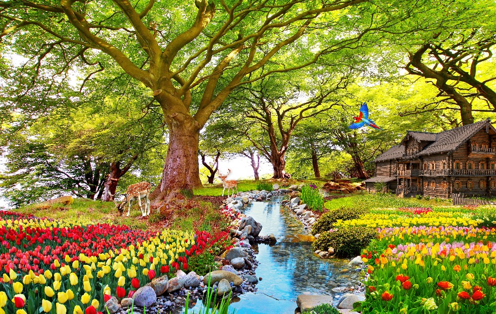 Phong cảnh sơn thủy hữu tình MHT2-104